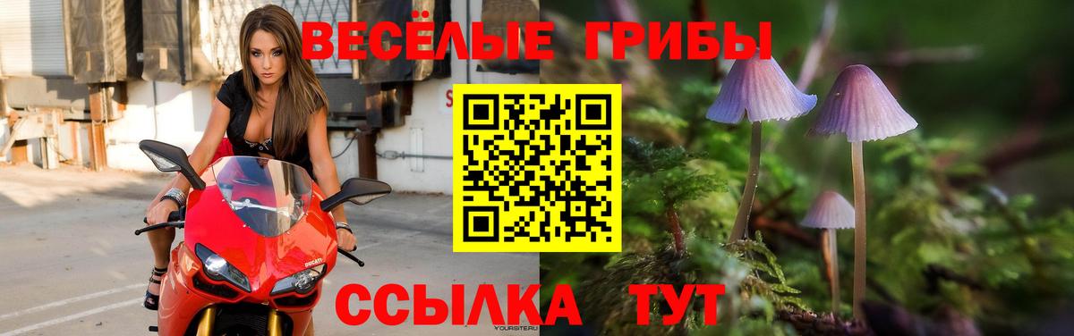 Галлюциногенные грибы мицелий  Вход с VPN  Среднеуральск  Галлюциногенные грибы Psilocybe 